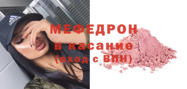 индика Богородск