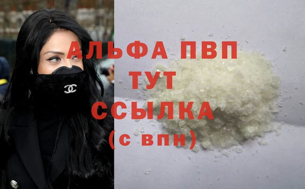 индика Богородск