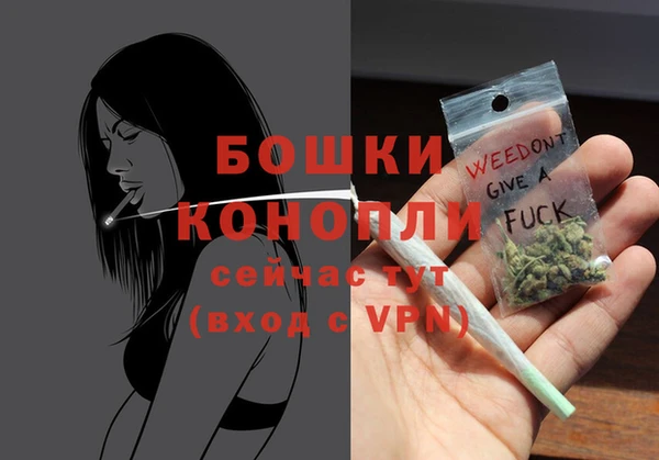 индика Богородск