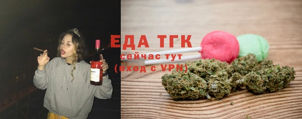 индика Богородск