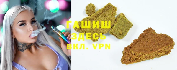 индика Богородск