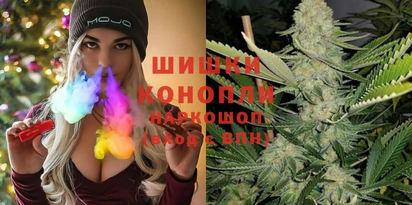индика Богородск