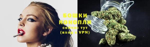 индика Богородск