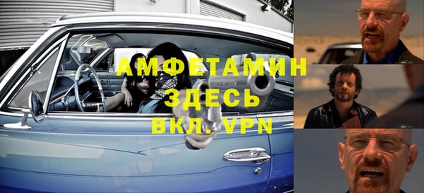 индика Богородск