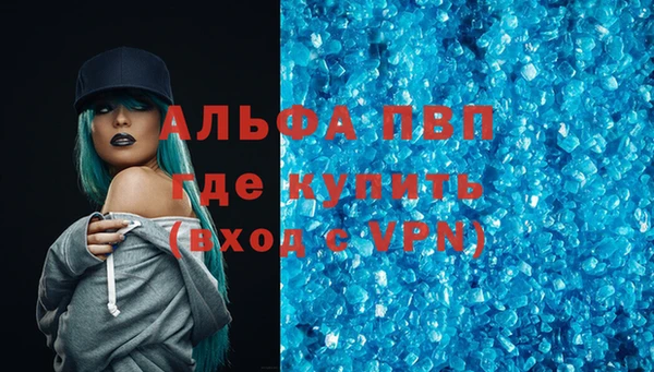 индика Богородск
