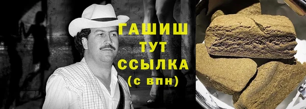 индика Богородск