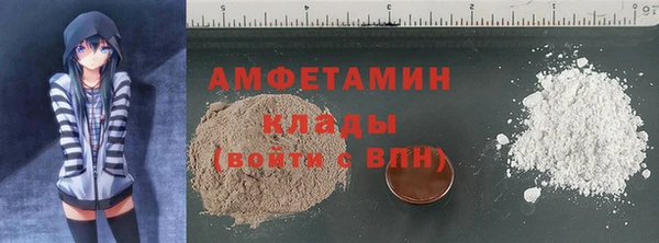 индика Богородск