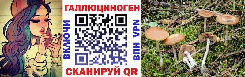 MEGA сайт  наркотики  Бологое  Псилоцибиновые грибы прущие грибы 